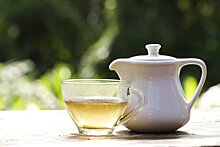 Белый чай: неизвестный напиток с чудесными свойствами