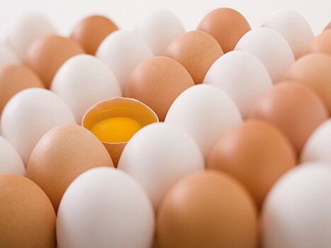 Потребление куриных яиц не опасно для сердечно-сосудистой системы