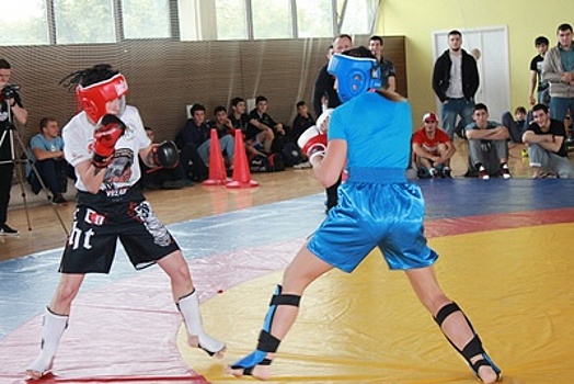 Этап турнира по панкратиону в Домодедове собрал более 340 участников