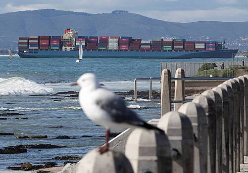 В США оценили доходы бюджета из-за пошлин Трампа в миллиарды долларов