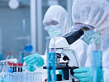 ВОЗ: из-за изменения климата вспышек болезней, подобных оспе обезьян, будет больше: Новости ➕1, 02.06.2022