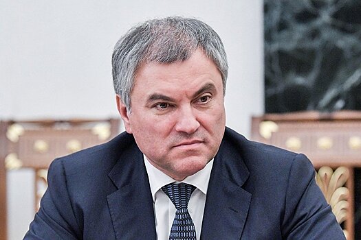 Володин осудил инцидент с Познером в Грузии