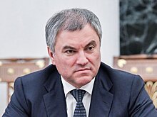 Володин осудил инцидент с Познером в Грузии