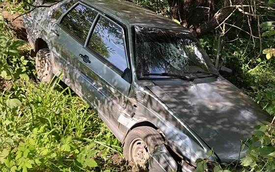 В ДТП в Скопинском районе пострадал пожилой мужчина