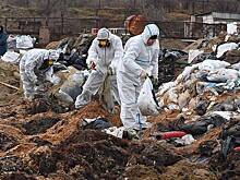 В Кремле высказались о медпомощи убирающим мазут на Черном море волонтерам