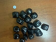 У вышедшего из леса в Костроме мужчины нашли урожай на 20 лет колонии