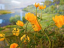 Стихи о лете, мюзикл и восточная живопись: куда сходить в Москве на следующей неделе