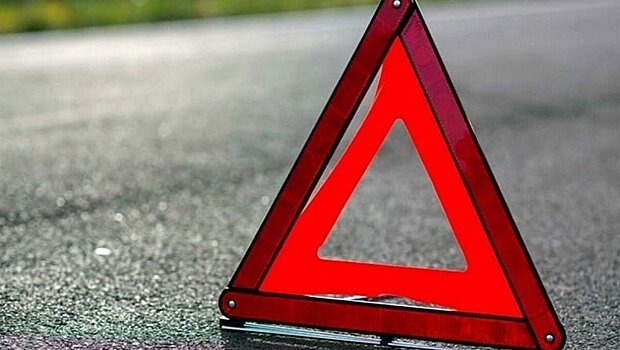 В Карелии водитель и пассажир травмированы при столкновении с лосем