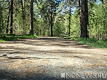 В Курганской области закрыли детский лагерь баптистов