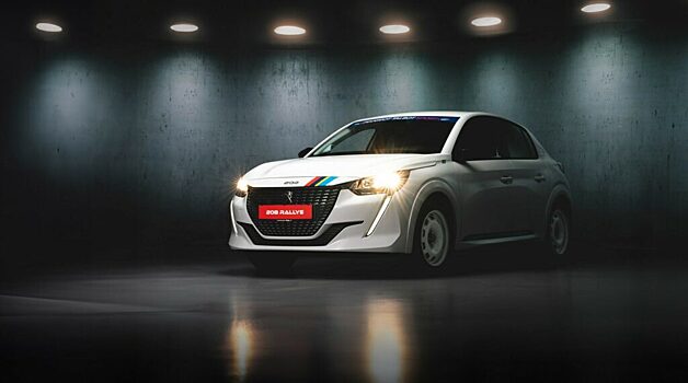 Garages-Hotz представил кастомную серию автомобилей Peugeot 208 Rallye
