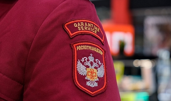 Волгоградцы пожаловались в Роспотребнадзор на некачественную косметику