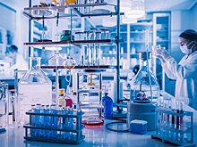 В Томске откроют центр по разработке пробиотиков и пребиотиков