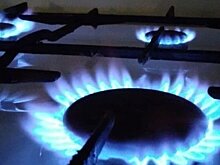 Татарстан лидирует по числу заключенных договоров на подведение газа