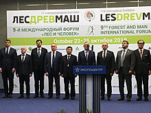 Лесную отрасль на "Лесдревмаше-2018" представляют 350 компаний