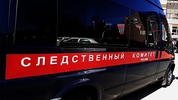 Бастрыкин поручил разобраться с обвинениями Киева против Бортникова