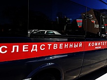 Бастрыкин поручил разобраться с обвинениями Киева против Бортникова