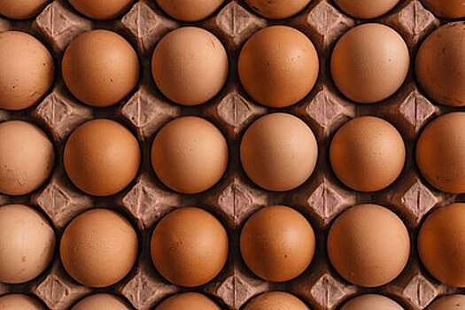 Россиян предупредили о неожиданной опасности куриных яиц