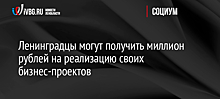 Правительство Ленобласти выделило 2 млн рублей на гранты бизнес-проектам