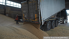 Экономист Лизан: Еврокомиссия в угоду Польше будет вынуждена согласиться на эмбарго в отношении украинского зерна
