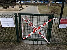 В Эстонии планируют продлить режим ЧП