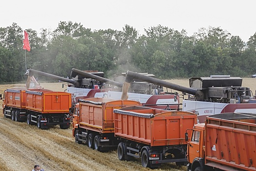 Зарубежным агрохолдингам намекнули на национализацию