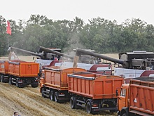 Зарубежным агрохолдингам намекнули на национализацию