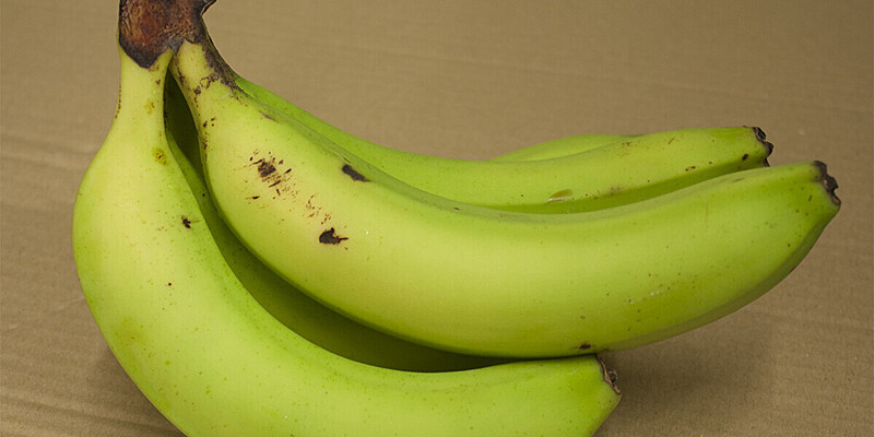 Ерлі-зайыптыларға арналған порно кастингтер