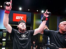 UFC Fight Night: Волков – Розенстрайк, Ринат Фахретдинов – Андреас Михайлидис, 4 соперника для Фахретдинова в UFC