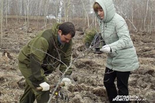 Посади дерево – сделай жизнь лучше! Волонтёры отправились в Омский район