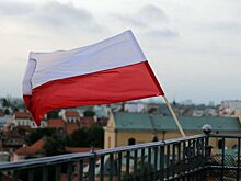 «Известия»: В Польше резко увеличилось количество магазинных краж