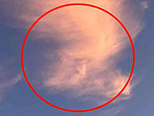 В Британии женщина сфотографировала облако, напоминающее лицо Трампа