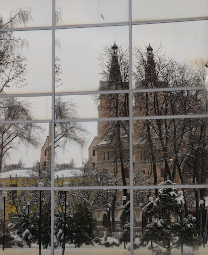 Воронеж зимний.