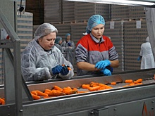 Переработка овощной продукции в Волгоградской области вышла на новый уровень