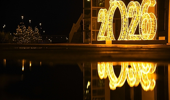 Волгоградцы поделились планами на 2026 год