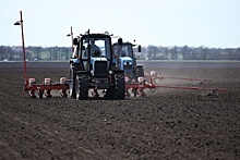 На ускорение темпов полевых работ нацеливает аграриев президент Беларуси