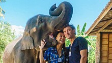 Жена Жиркова показала, как целуется со слоненком: «Это были невероятные чувства»