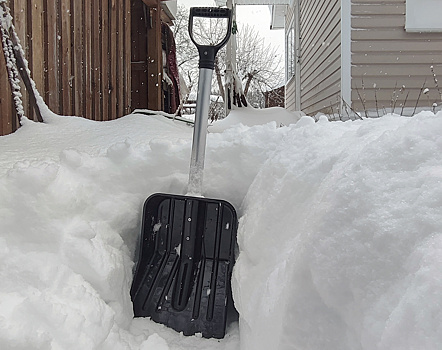 «Зимний маршрут» в Беларуси: студенты помогают пенсионерам в мороз и наводят порядок у братских могил