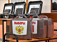 В Ногинске участие в выборах примут 40 безработных