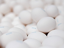 Бельгийский врач рассказала, как поддерживать вес после борьбы с ожирением