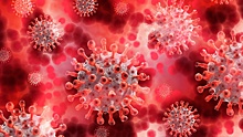 Джонсон назвал британский штамм коронавируса более смертоносным