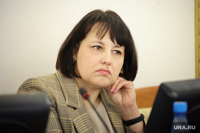 Елена Останина возглавила контрольно-счетную палату Курганской области