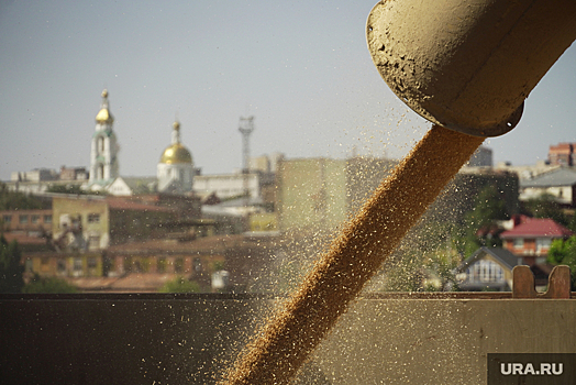 Политолог Макеева предупредила об опасности продления зерновой сделки для СВО