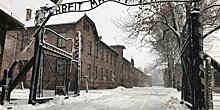 В Ленинградской области прокомментировали заявления ученого о Холокосте