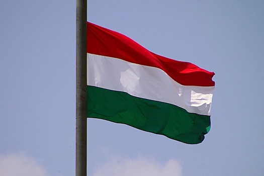 Политолог Штир: в случае победы на выборах венгерская оппозиция пересмотрит отношения с РФ