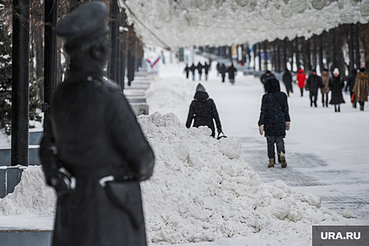 В Челябинске вторая половина января будет теплее первой