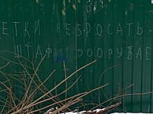 В Пензе состоялся очередной объезд дворов