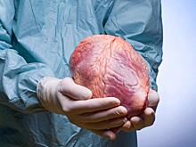 Донорские органы от пациентов с гепатитом С могут быть безопасны для пересадки