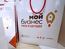 В Госдуме назвали меры поддержки для предпринимателей в 2025 году