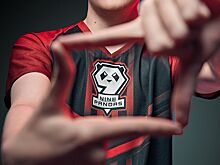 Два игрока покинули состав 9Pandas по «Доте»