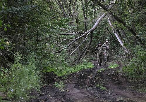 На Западе сообщили о панике из-за положения Украины